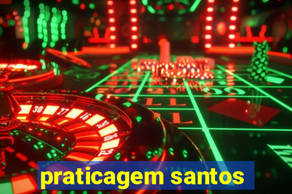 praticagem santos